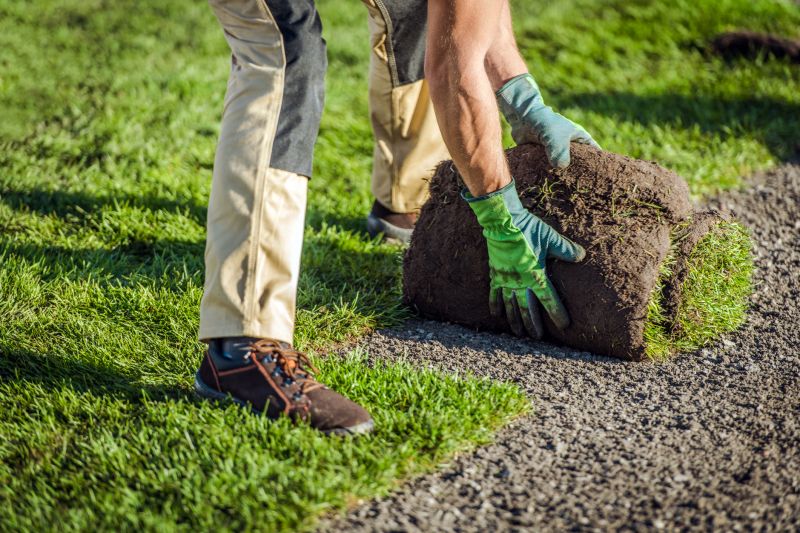 Lawn And Garden Installation in Ventura County, CA