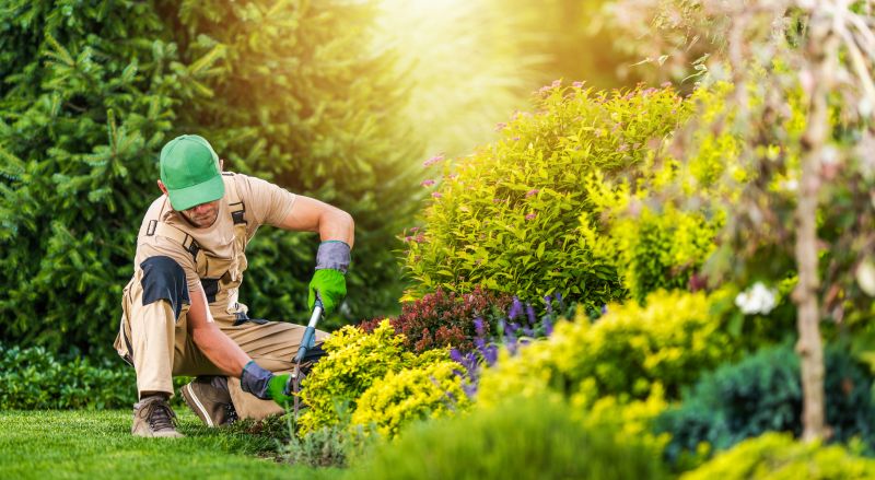 Perennial Landscaping in Honolulu, HI