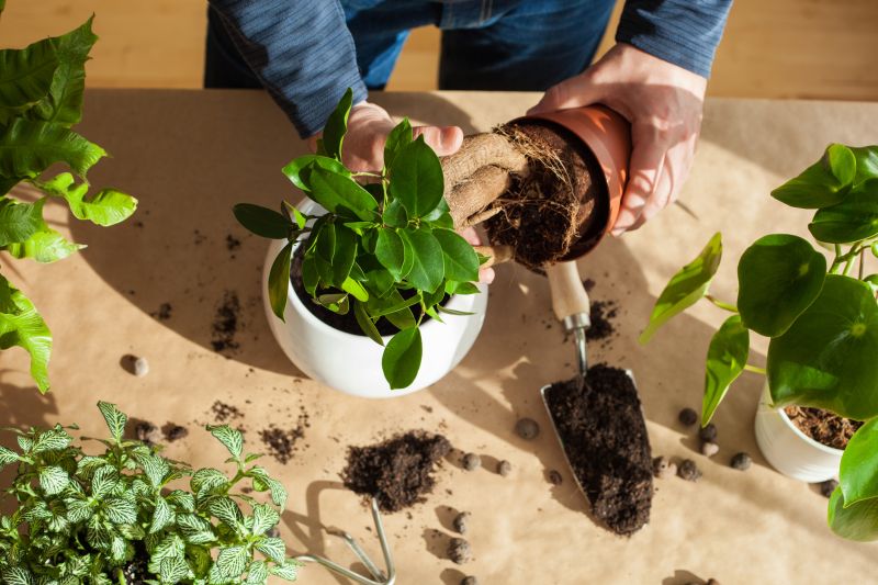 Planting Service in Ventura County, CA