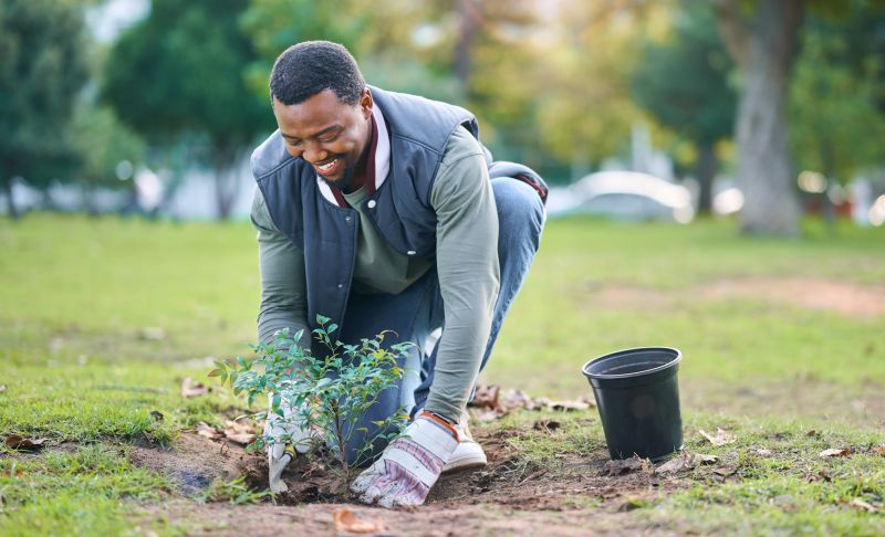 Planting Service in Honolulu, HI