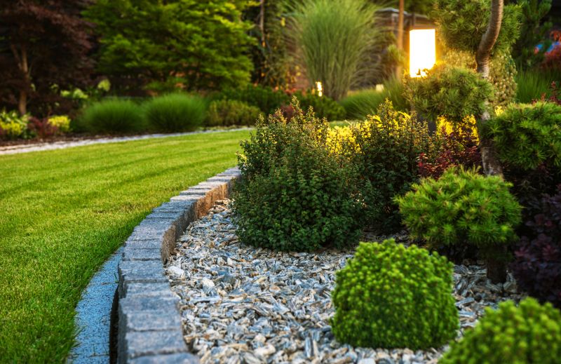 Shrub Care Service in Reno, NV