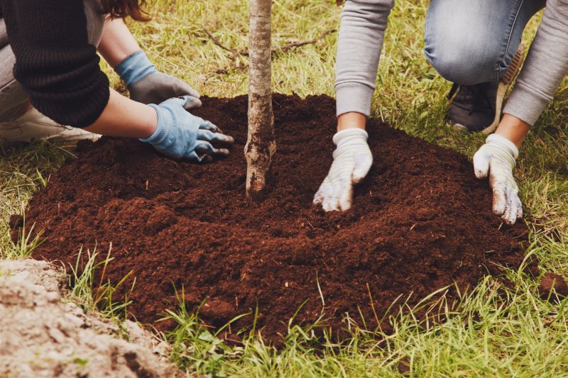 Tree Installation Service in Honolulu, HI