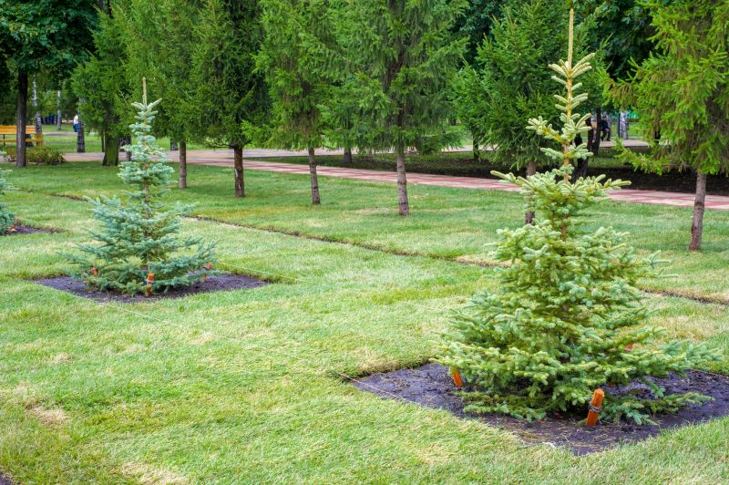 Tree Landscaping in Ventura County, CA